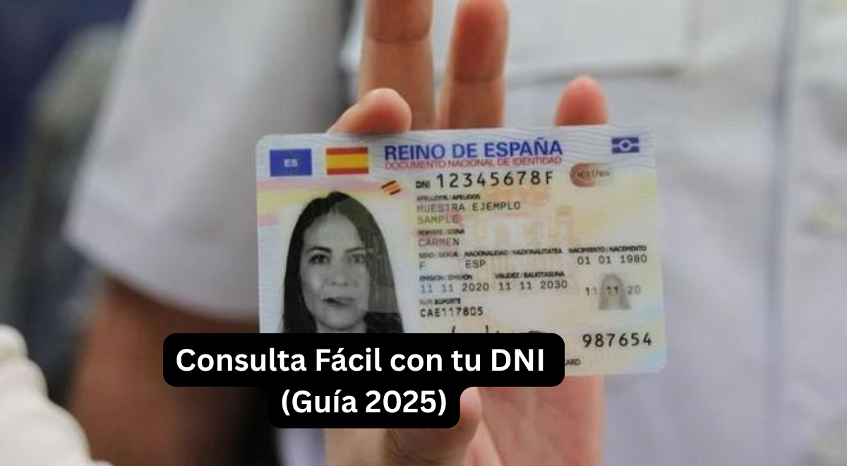 Consulta Fácil con tu DNI (Guía 2025)