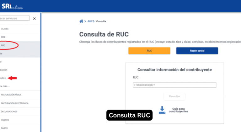Consulta RUC: La Guía Más Sencilla y Completa para Principiantes