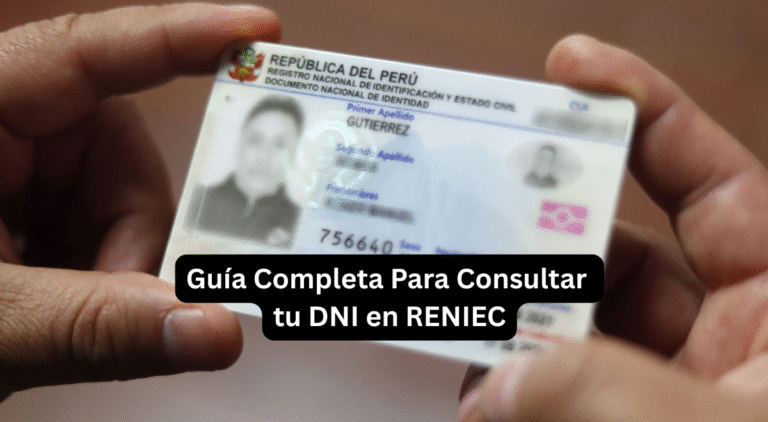 Reniec Consulta Dni - Guía Completa Para Consultar tu DNI en RENIEC