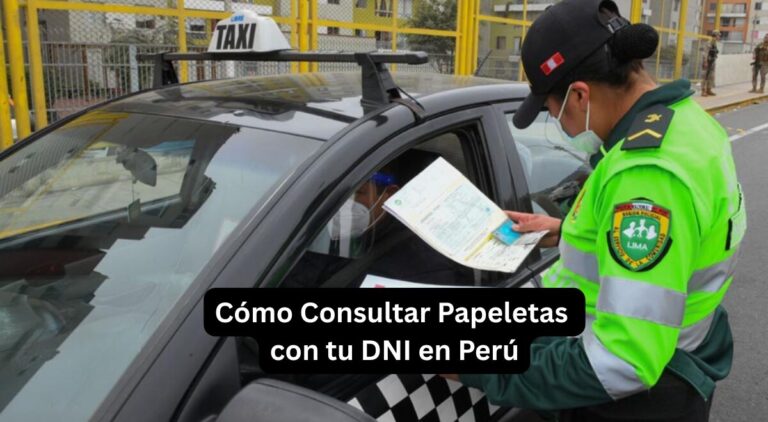 Cómo Consultar Papeletas con tu DNI en Perú